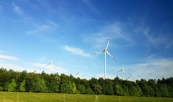 What Are the Key Trends in the UK Renewable Energy Sector?
