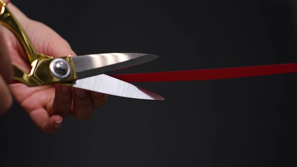 Creating impactful inauguration events that celebrate success